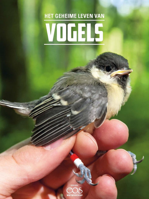 Eos Thema: Vogels