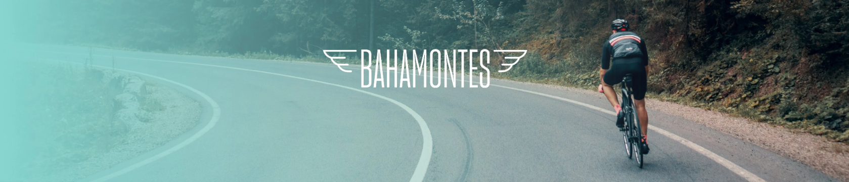 Bahamontes Koerstenu - Nieuwe collectie