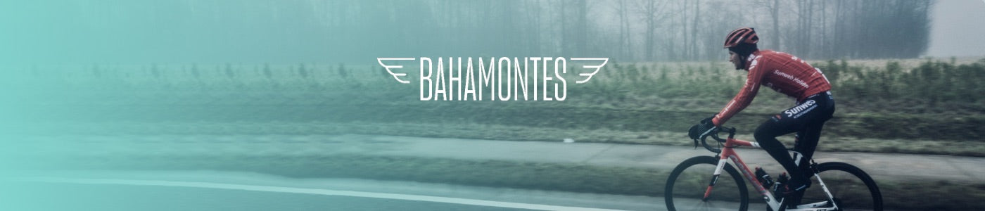 Bahamontes