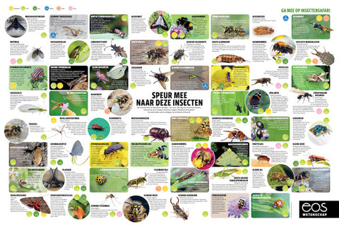 XL-poster Insecten