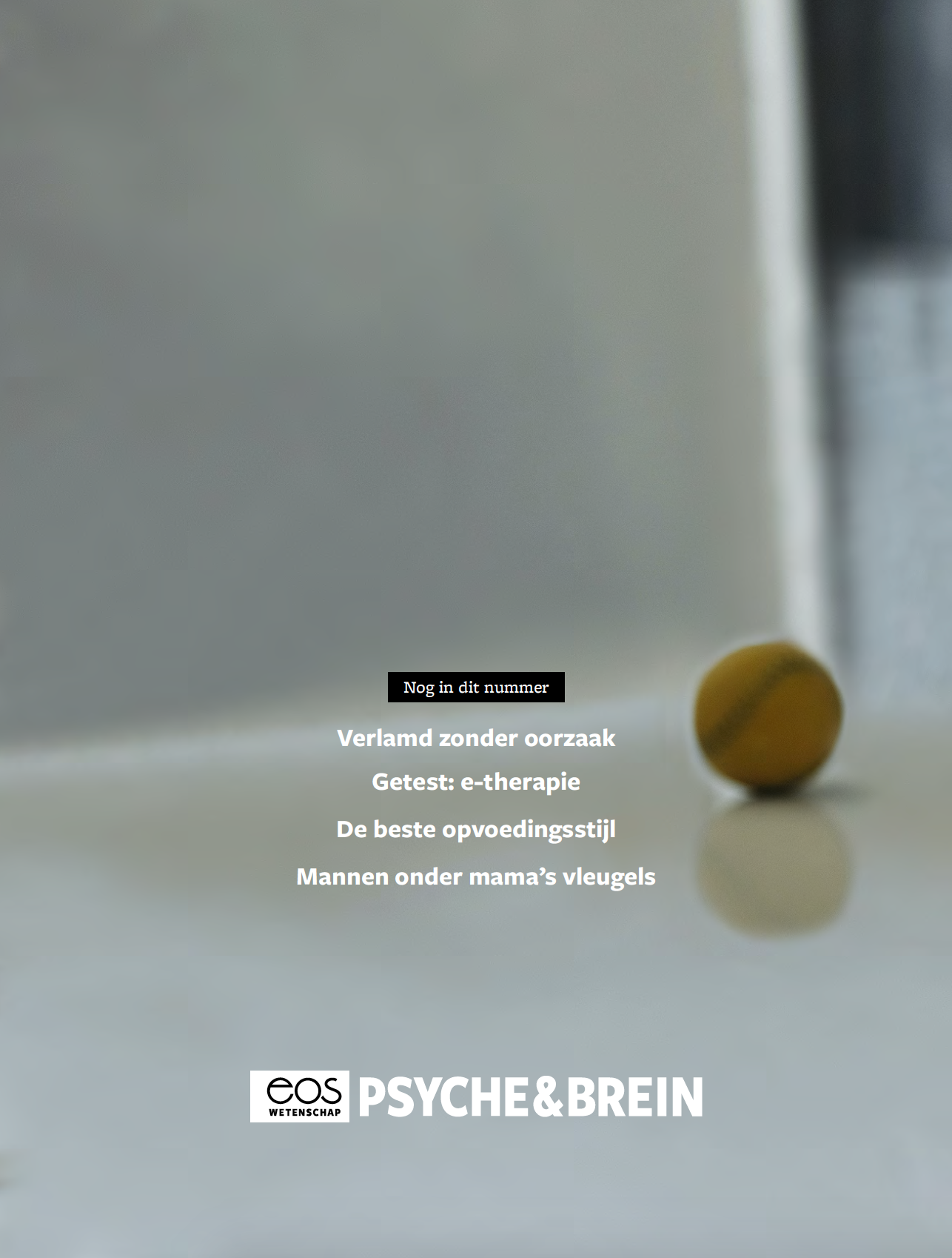 Psyche & Brein editie 4/2020