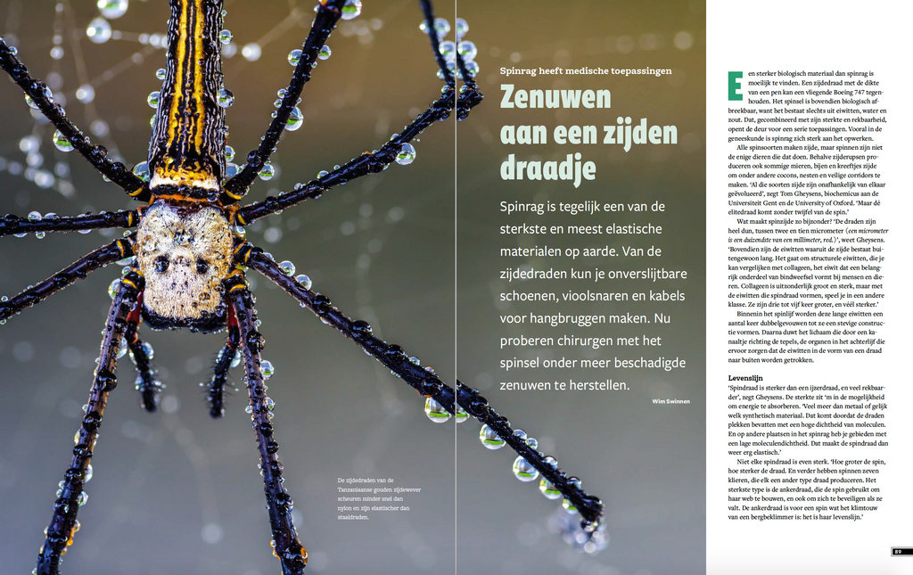 Eos Wetenschap Special 2020 - Technologie & Gezondheid