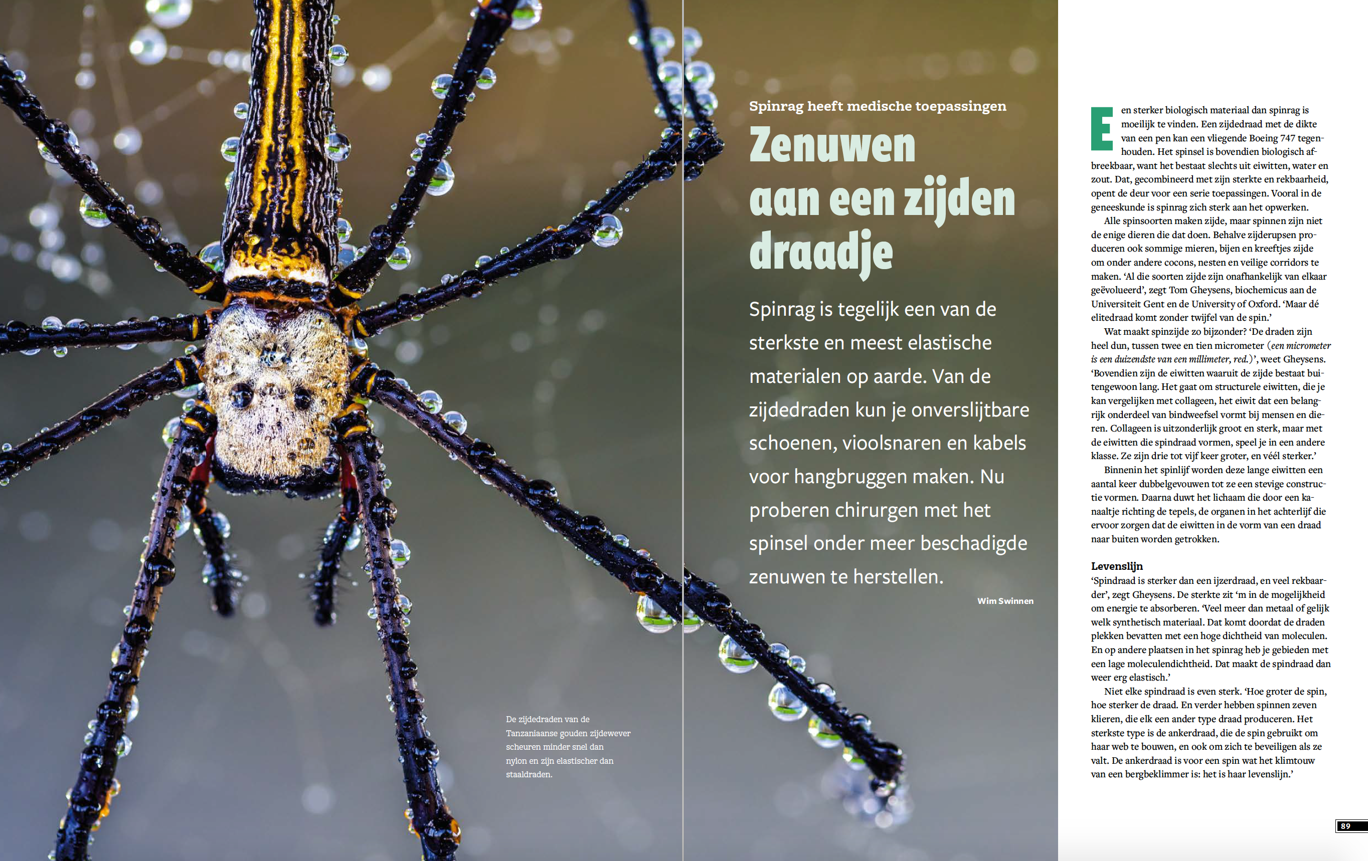 Eos Wetenschap Special 2020 - Technologie & Gezondheid