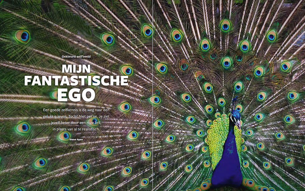 Psyche&Brein Special 2020 - Identiteit