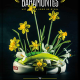 Bahamontes 33