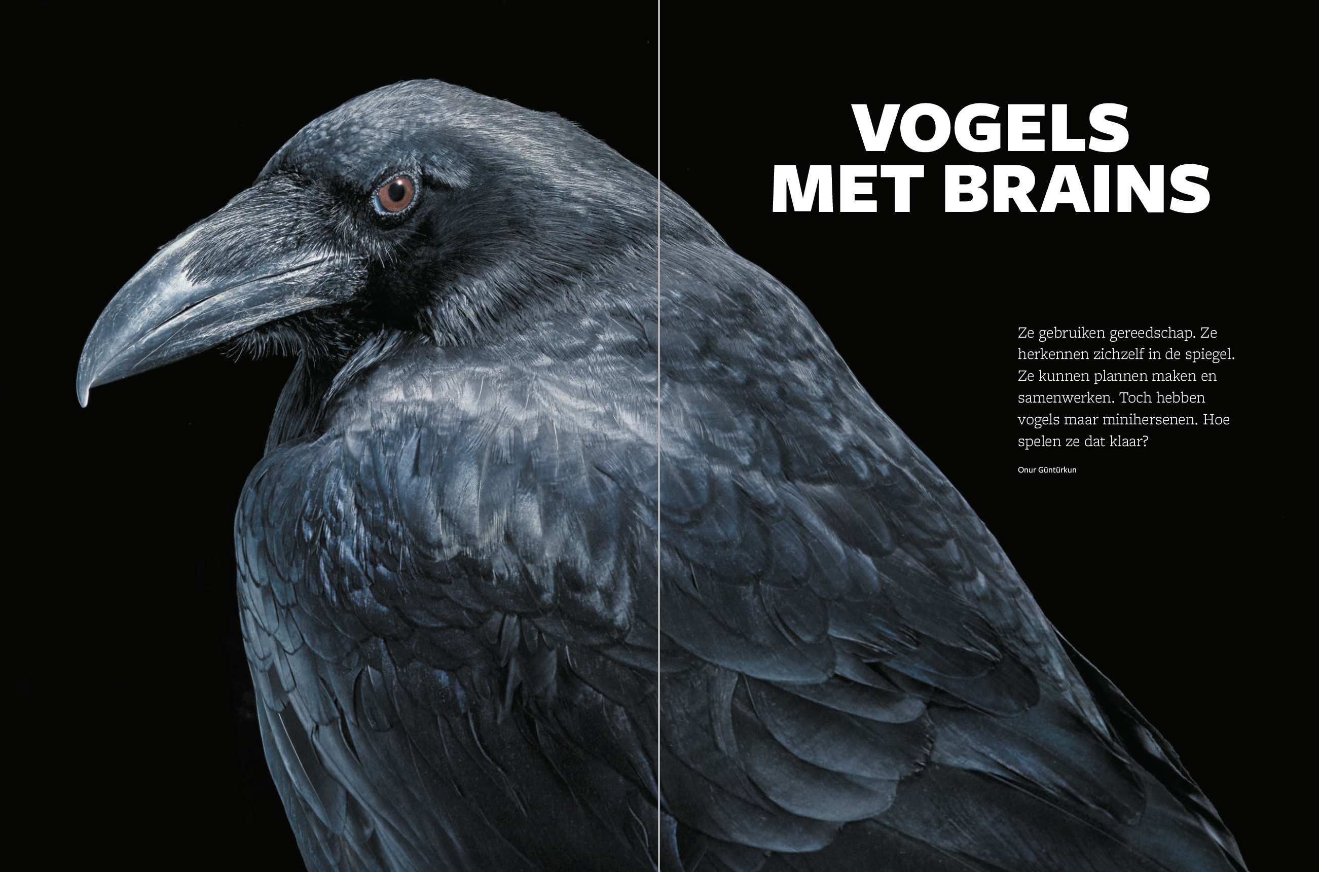 Psyche & Brein editie 2/2021