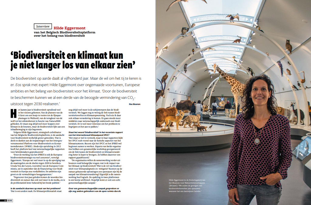 EOS editie 11/2021