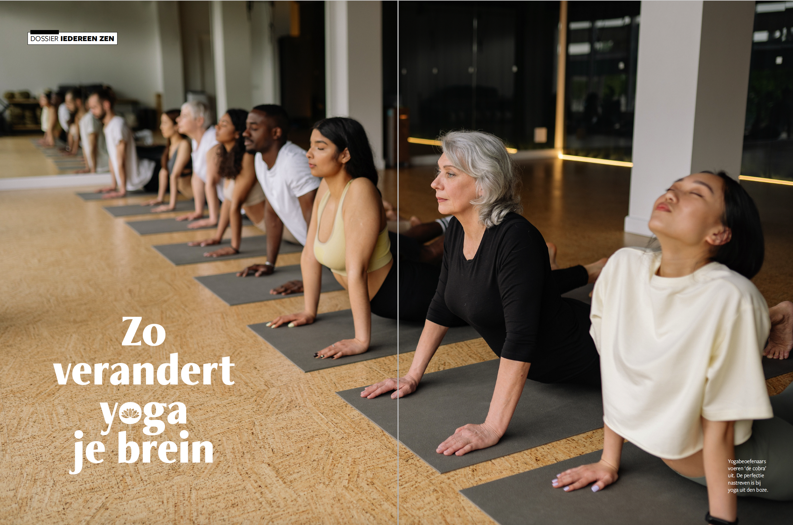 Psyche & Brein editie 4/2021