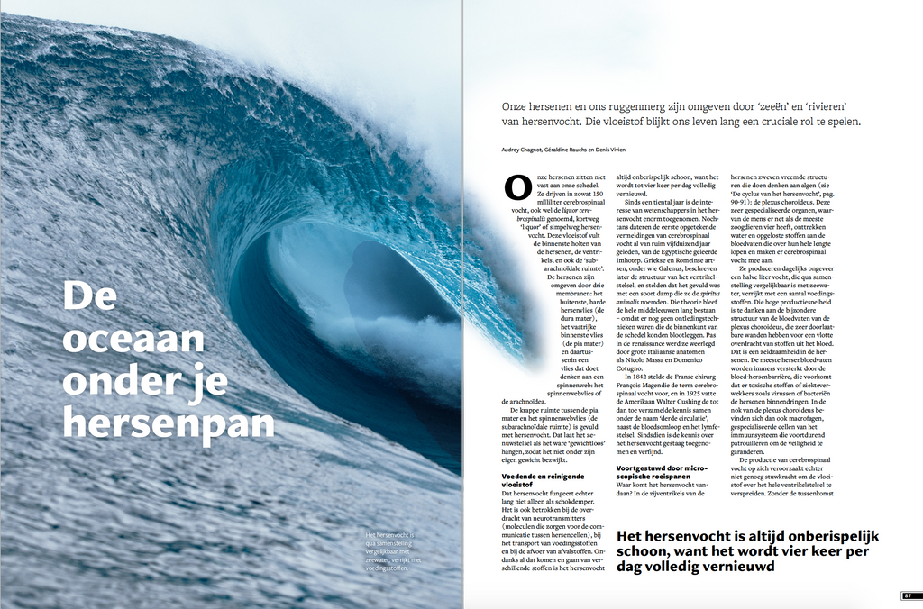 Psyche & Brein editie 4/2021