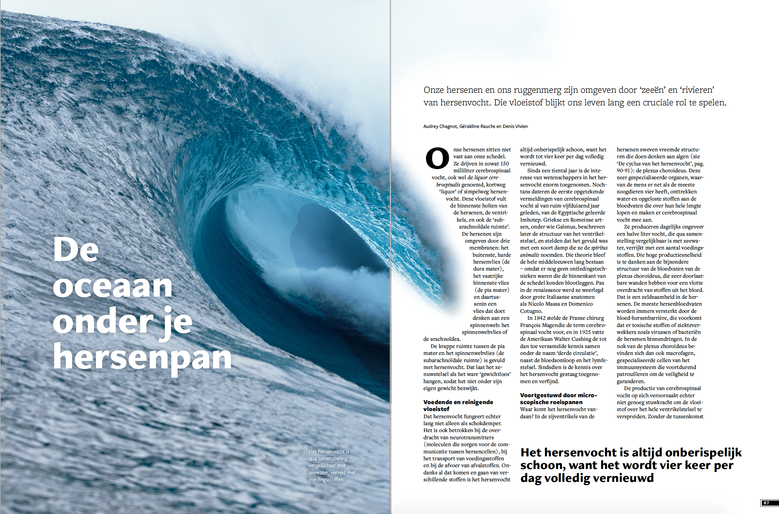 Psyche & Brein editie 4/2021