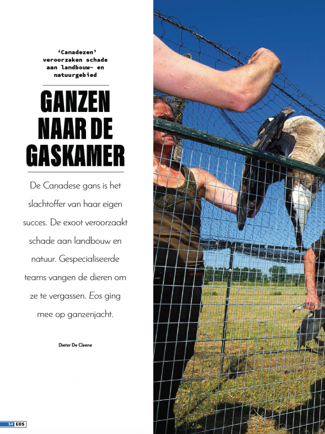 EOS editie 9/2018