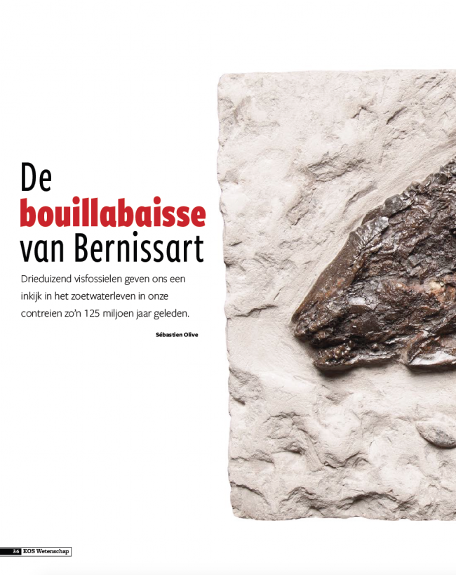 Eos Wetenschap Special 2018 - Iguanodons