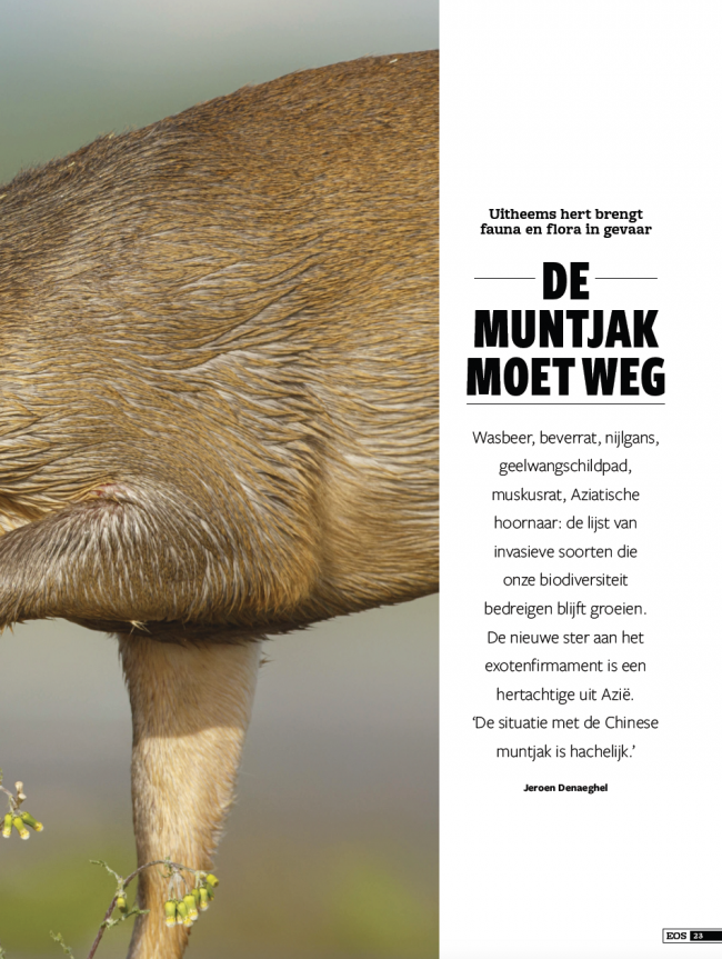 EOS editie 2/2019