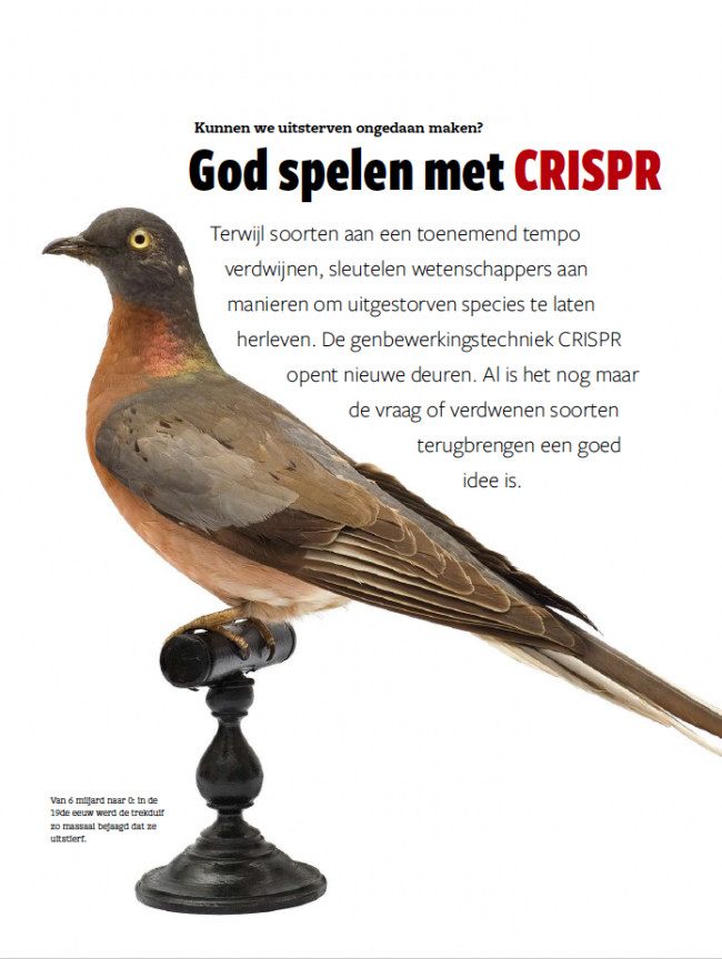 EOS editie 11/2019