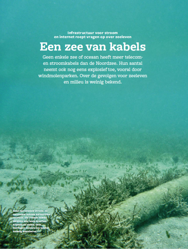 EOS editie 11/2019