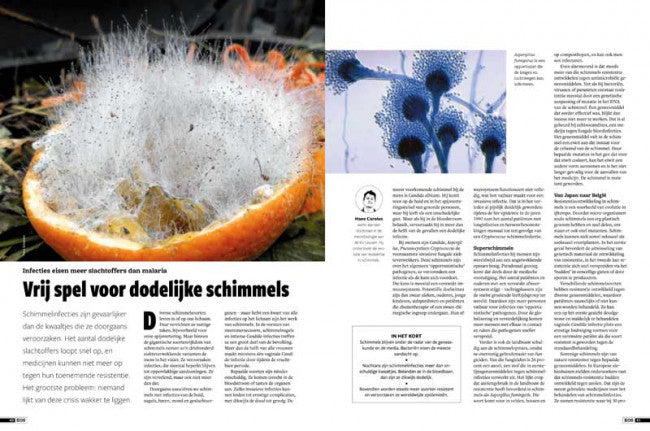 EOS editie 5/2019